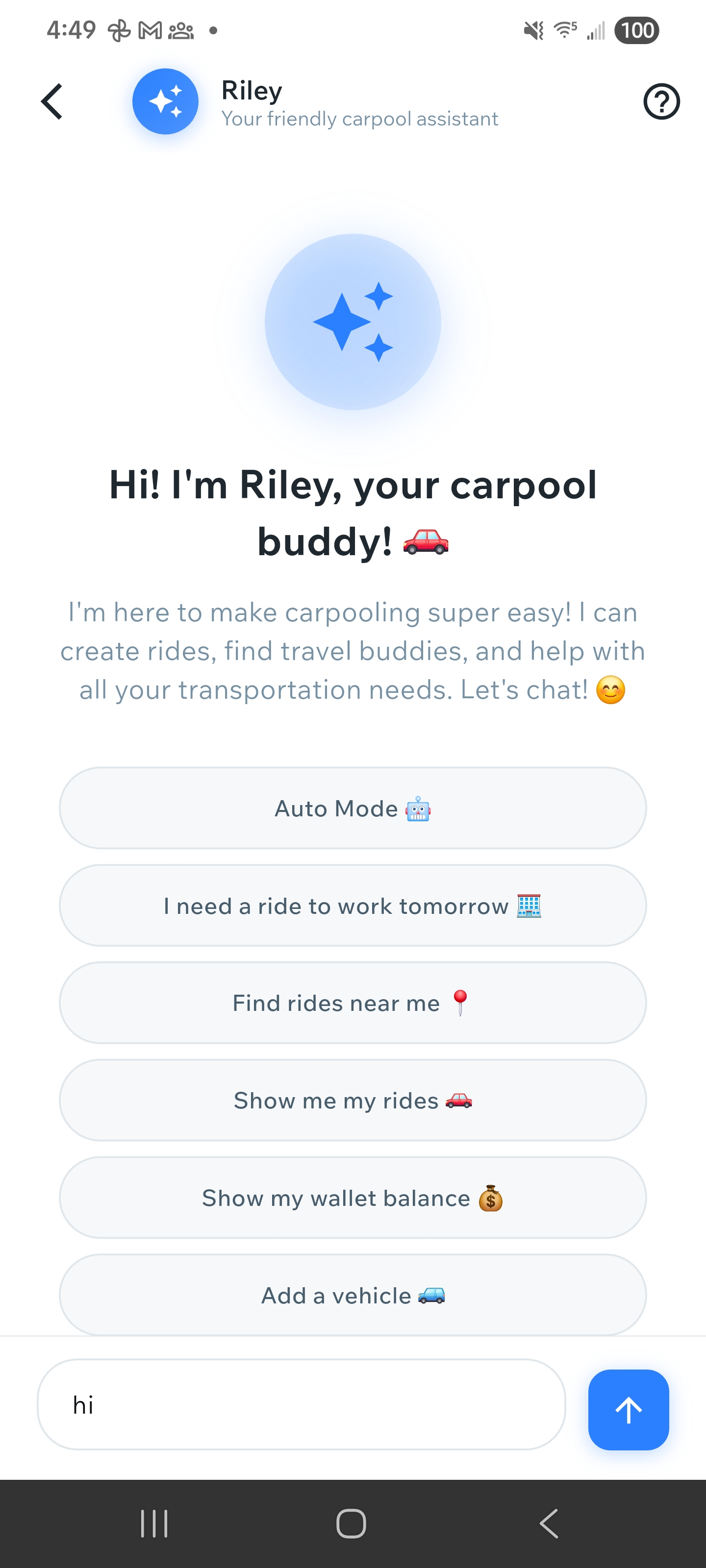 Riley Chat Conversation
